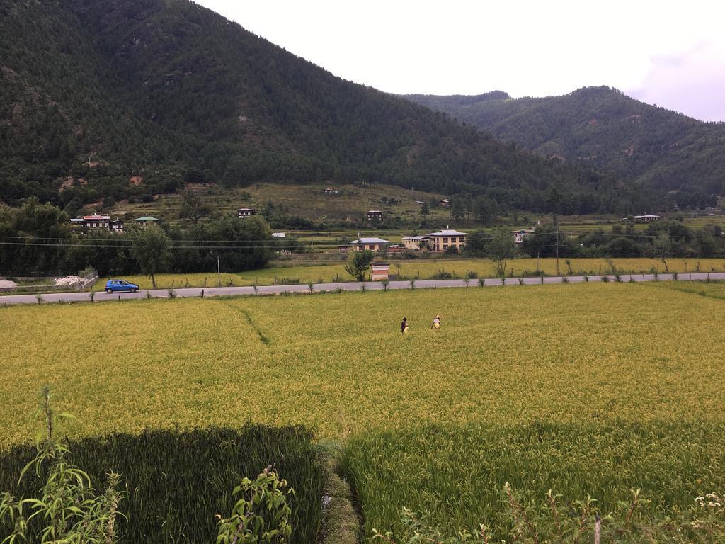 Ama'S Village Lodge Paro Ngoại thất bức ảnh